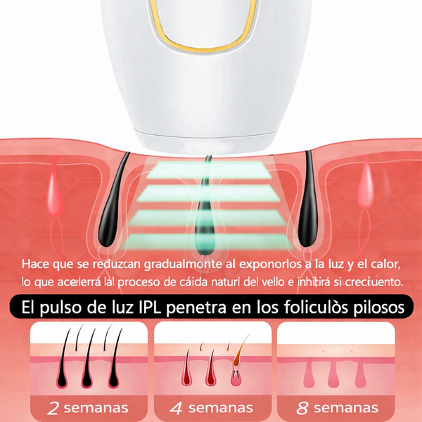 d76143eb-6420-4c97-925e-60aef3928a64.png